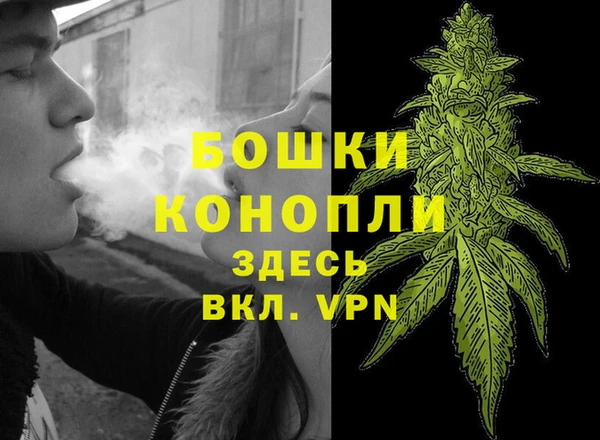 каннабис Аркадак