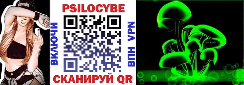 Галлюциногенные грибы Psilocybe Павловск