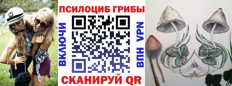 Галлюциногенные грибы ЛСД  где можно купить наркотик  Павловск 